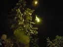 Silvester-2012-066