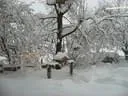 Jaenner2012-1-016