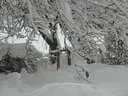 Jaenner2012-1-017