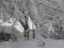 Jaenner2012-1-018