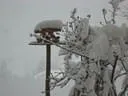 Jaenner2012-1-019
