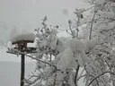 Jaenner2012-1-020