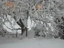 Jaenner2012-1-021
