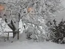 Jaenner2012-1-022