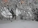 Jaenner2012-1-023