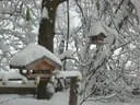 Jaenner2012-1-024
