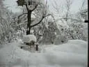 Jaenner2012-1-055
