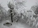Jaenner2012-1-062