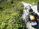 motorradbilder-steff-august-08-007
