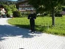 motorradbilder-steff-august-08-113