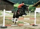 Springen1