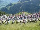 motorradbilder-steff-august-08-147
