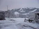 20.12-08-wieshof-006