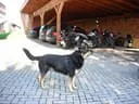 Gross-Glockner-048
