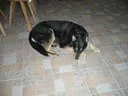 Feber-2011-046
