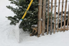Jagarinnen-Skirennen Bild 160