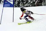 Skisport