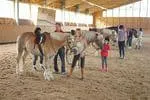 Reiten